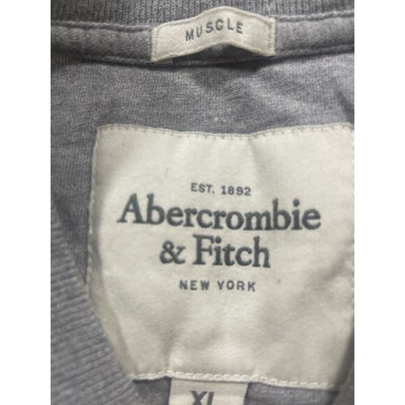 Abercrombie & Fitch Men’s Gray V-Neck Logo T-Shirt Muscle Fit Size XL - Picture 4 of 5